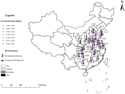 Microplastics and cadmium pollution in Chinese sweet potato fields